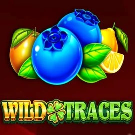 Wild Traces logo by Amusnet Interactive PlayMojo Casino